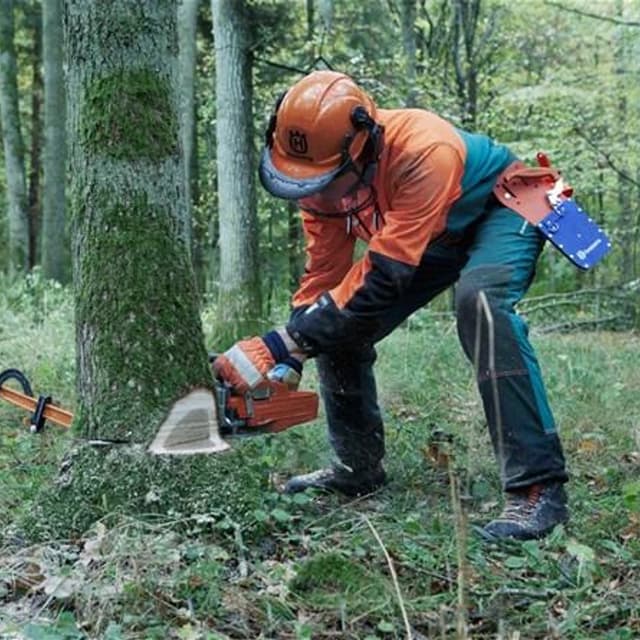 Giardiniere Zolin Daniele - Immagine 2