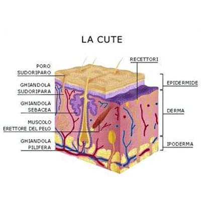 Giomi Dott.ssa Barbara - Immagine 2
