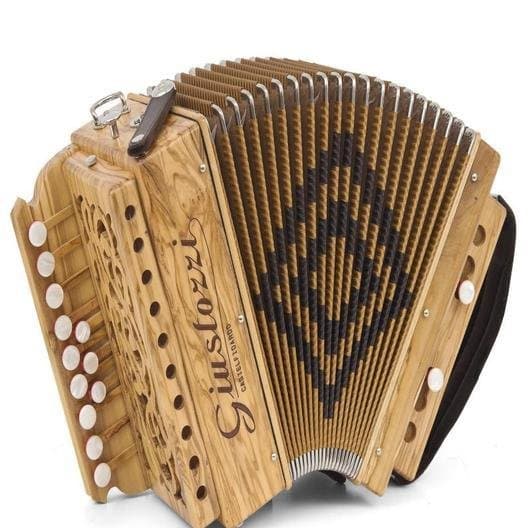 Giustozzi Accordions - Immagine 2