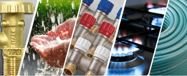 Gnali Bocia - Immagine 1