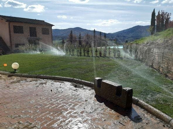 Green Service - Immagine 2