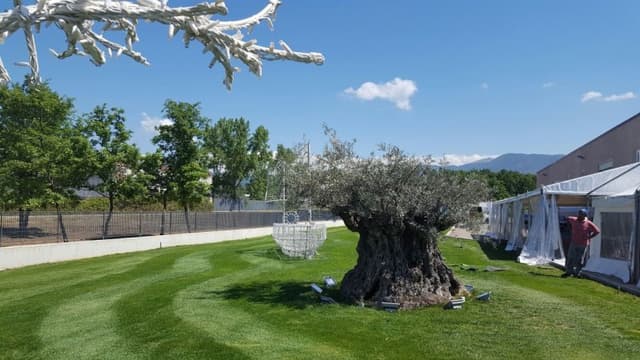 Green Solutions - Immagine 1