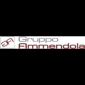 Gruppo Ammendola - Immagine 1