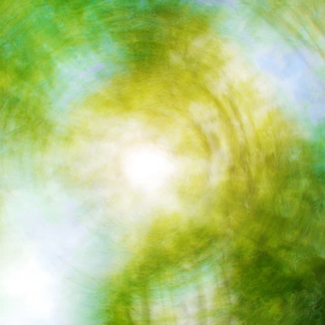 Hautmann Dr. Giuseppe - Immagine 2