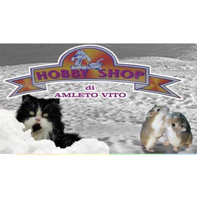 Hobby Shop - Immagine 2