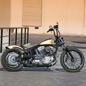 Horse e Bike Store - Immagine 2