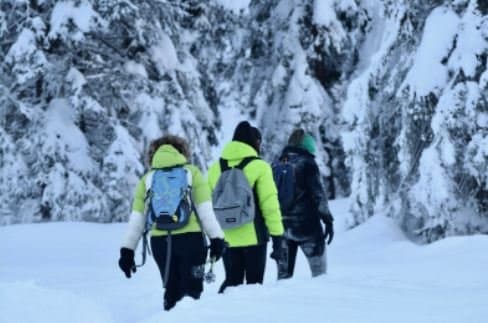 Hotel Ferrari Pinzolo *** - Immagine 1