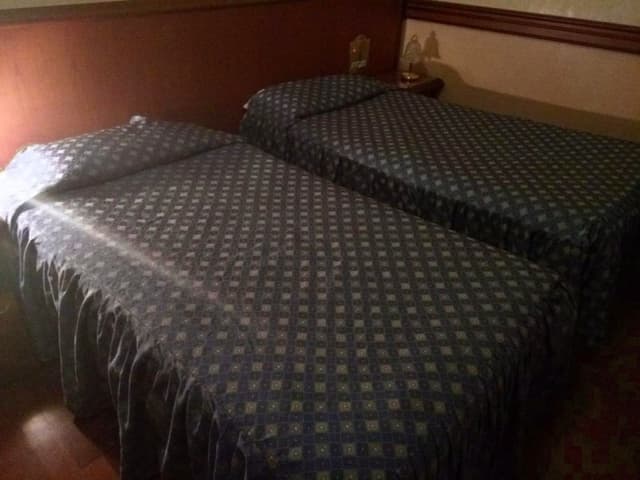 Hotel Minerva - Immagine 2