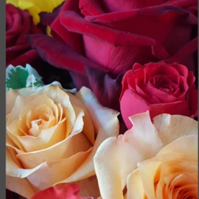 I fiori di… - Immagine 2