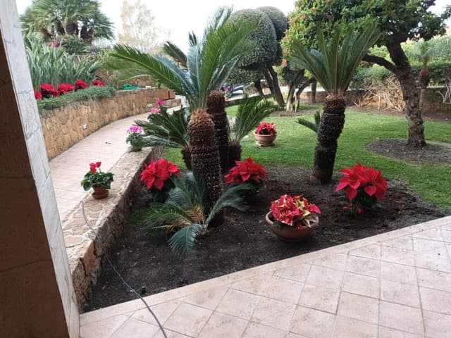 Ideal Verde Servizi di Giardinaggio - Immagine 1