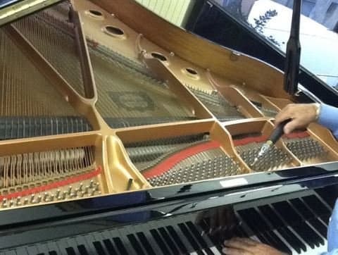 Idra Pianoforti - Immagine 2