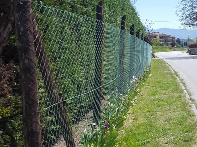 Il Castagno - Immagine 1