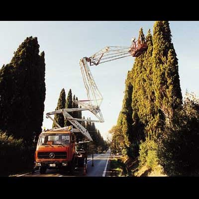 Il Giglio Società Cooperativa - Immagine 1