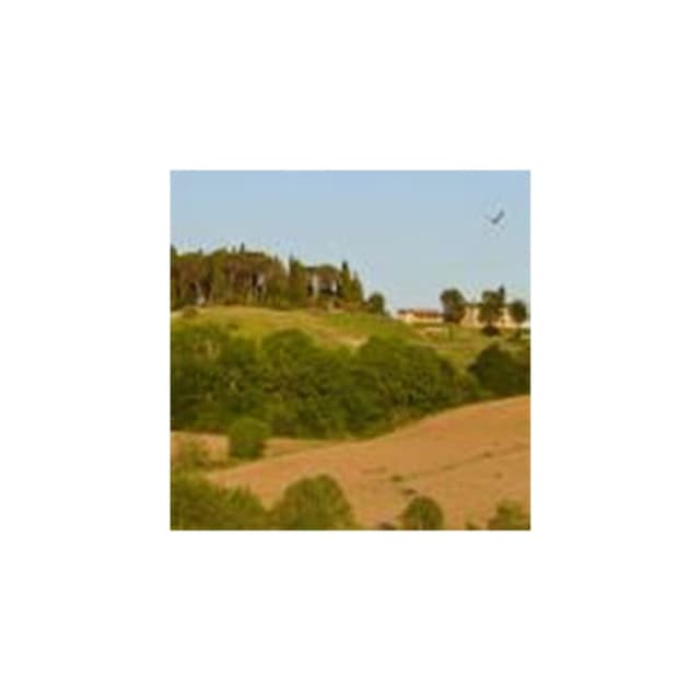 Il Mulino Appartamenti Vacanze - Immagine 1