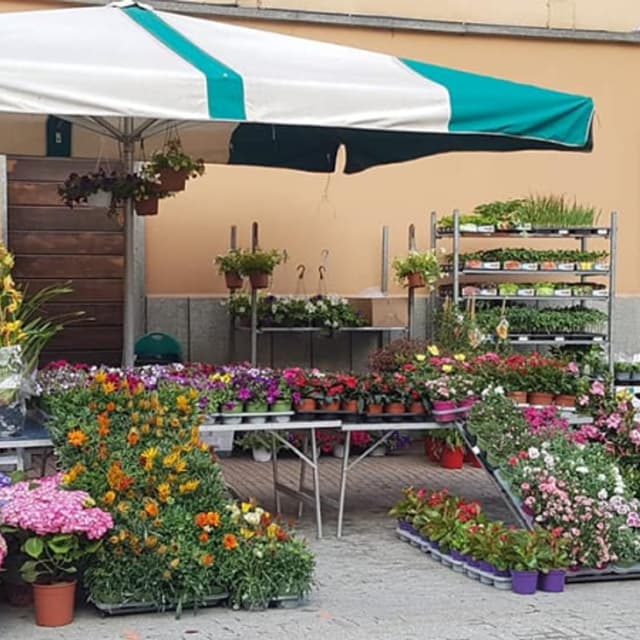 Il Punto Naturale - Immagine 1