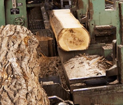 Imballaggi Marinelli Ugo - Immagine 2