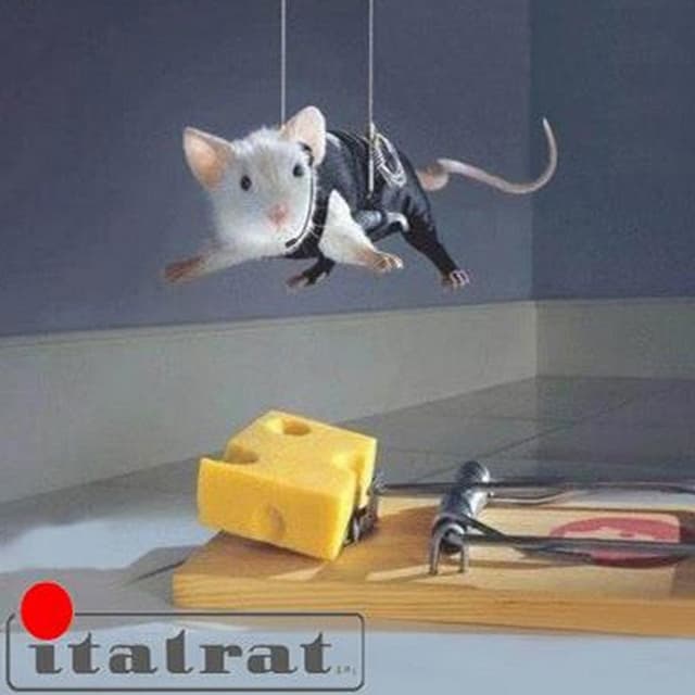 Italrat - Immagine 2