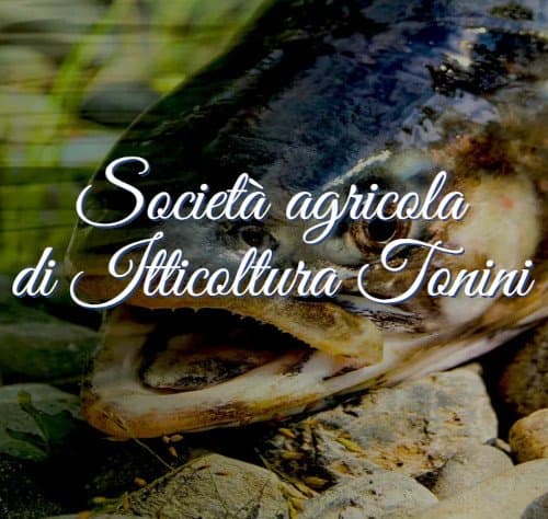 Itticoltura Tonini - Immagine 2