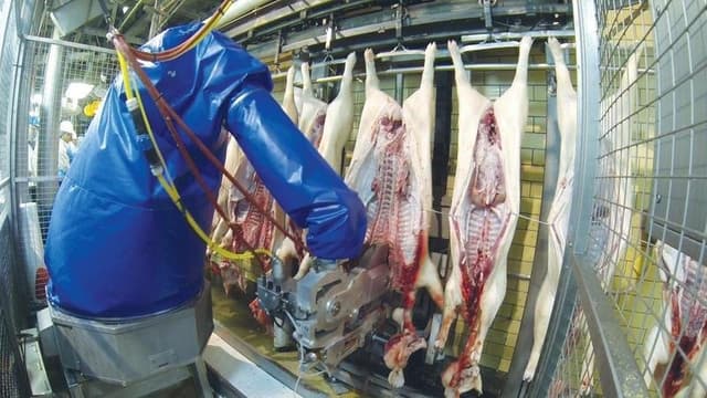 Jarvis Italia - Immagine 2