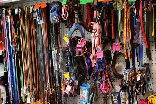 L’ Acquario Anima House - Immagine 2