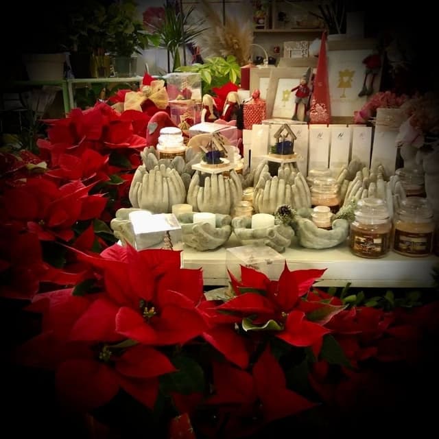 La Bottega dei Fiori - Immagine 2