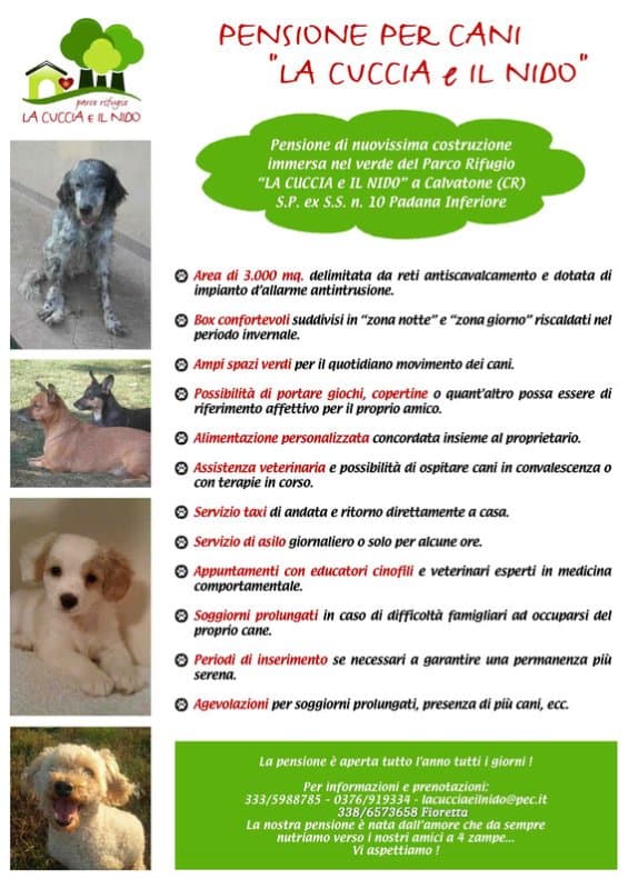 La Cuccia e il Nido - Immagine 1