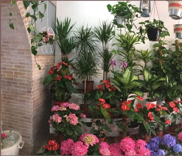 La Gardenia - Immagine 1