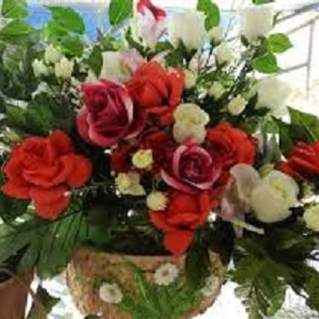 La Gardenia - Immagine 2