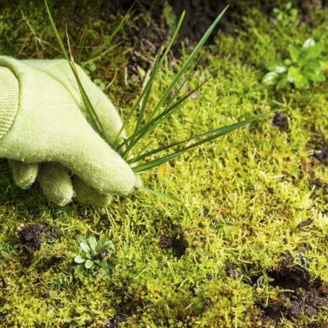 La Goccia Irrigazione - Immagine 2