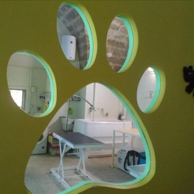 La Zampa di Peggy - Immagine 1