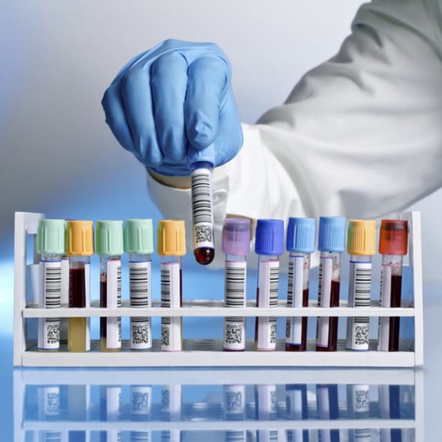 Laboratorio Analisi Biocliniche Check-Up - Immagine 1