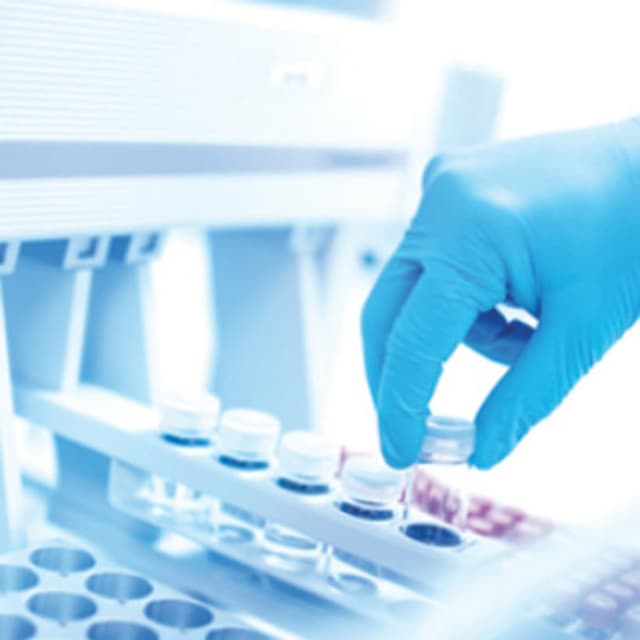 Laboratorio Analisi Cliniche Mater Domini - Immagine 1