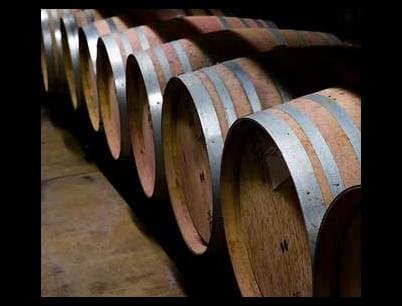 Laboratorio Enologico Enolab - Immagine 2