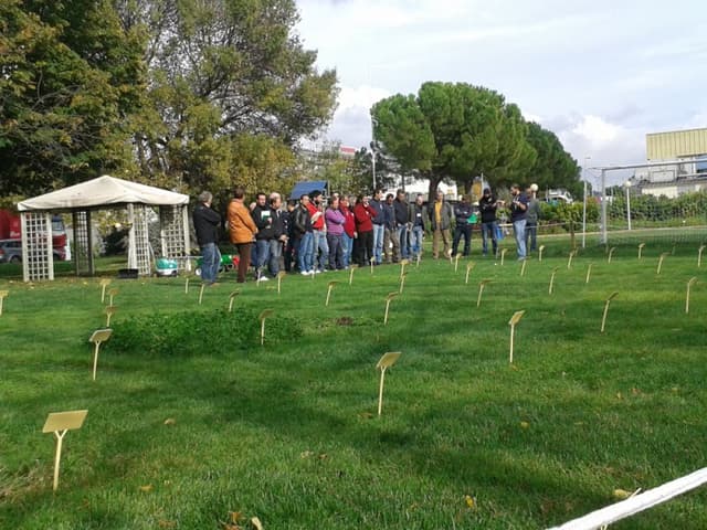 L'Agrotecnica - Immagine 2