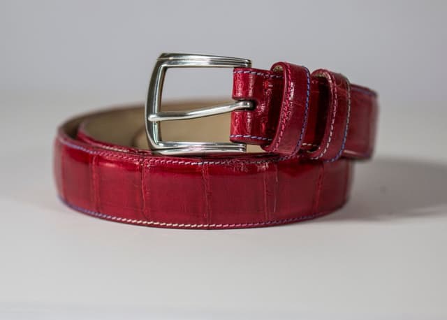 L.A.P. Pelletteria di Ranuzzini Amedeo & Andrea - Immagine 1