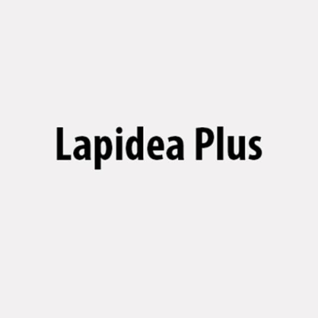 Lapidea Plus - Immagine 2