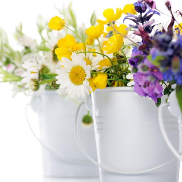 L'Asso dei Fiori - Immagine 1