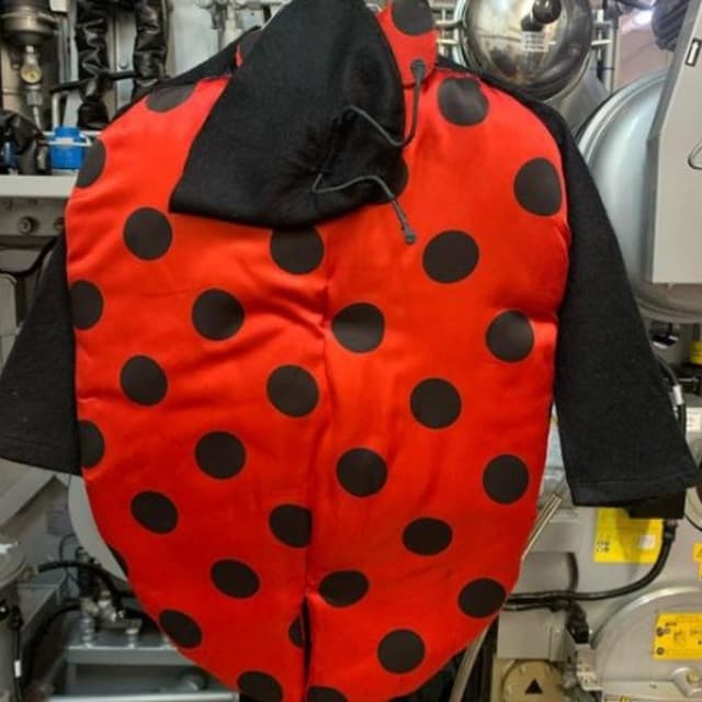 Lavanderia 2000 di Andreini Alessia - Immagine 1