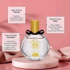 Le storie di Daphne - Immagine 2