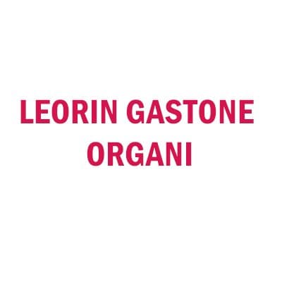 Leorin Gastone Organi - Immagine 1