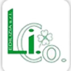 Li.Co Edilizia - Immagine 2