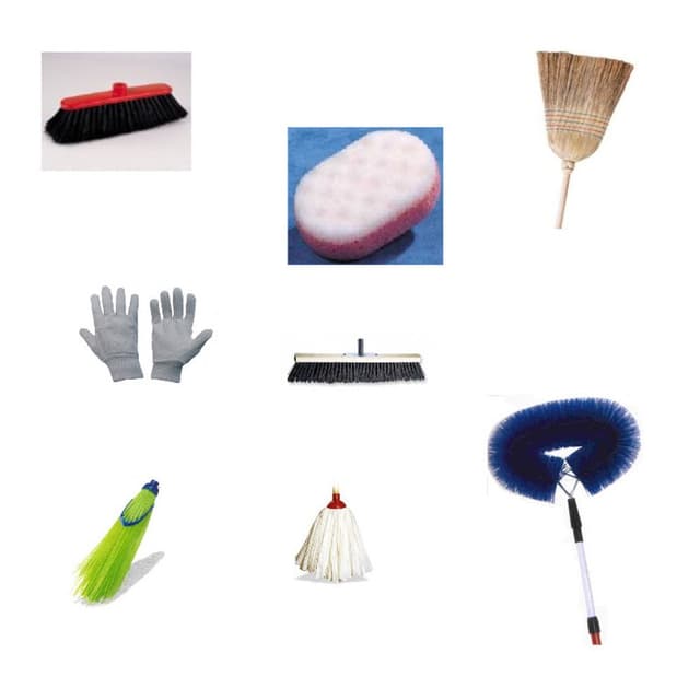 Linda Detersivi - Immagine 1