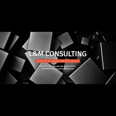 L&M Consulting - Immagine 2