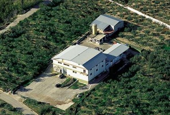 L'Olivicola Casolana - Immagine 1