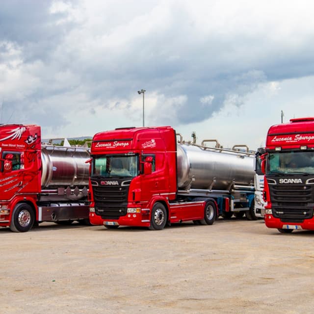 Lucania Spurgo - Immagine 1