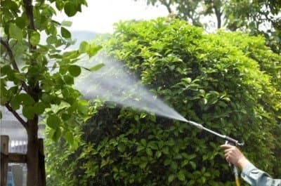 Macchine Agricole Fontana Mauro - Immagine 2