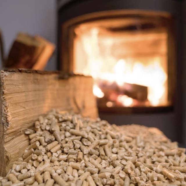 Mancini Roberto Caminetti - Immagine 2