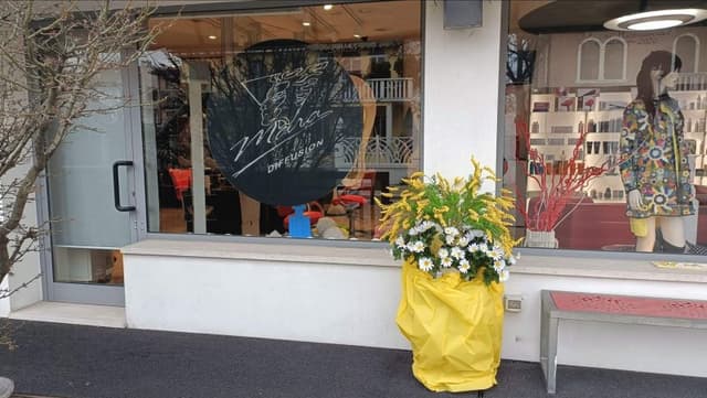 Mara Diffusion - Immagine 1