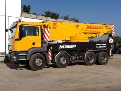 Merlino - Immagine 1