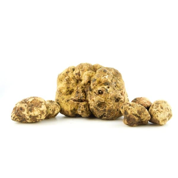 MGM Alimentari - Immagine 2